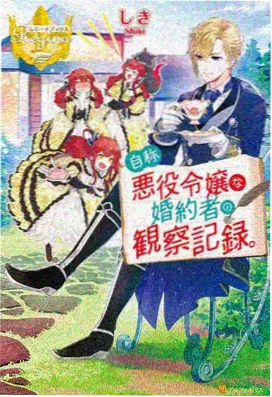 药屋少女的物语 动漫overflow